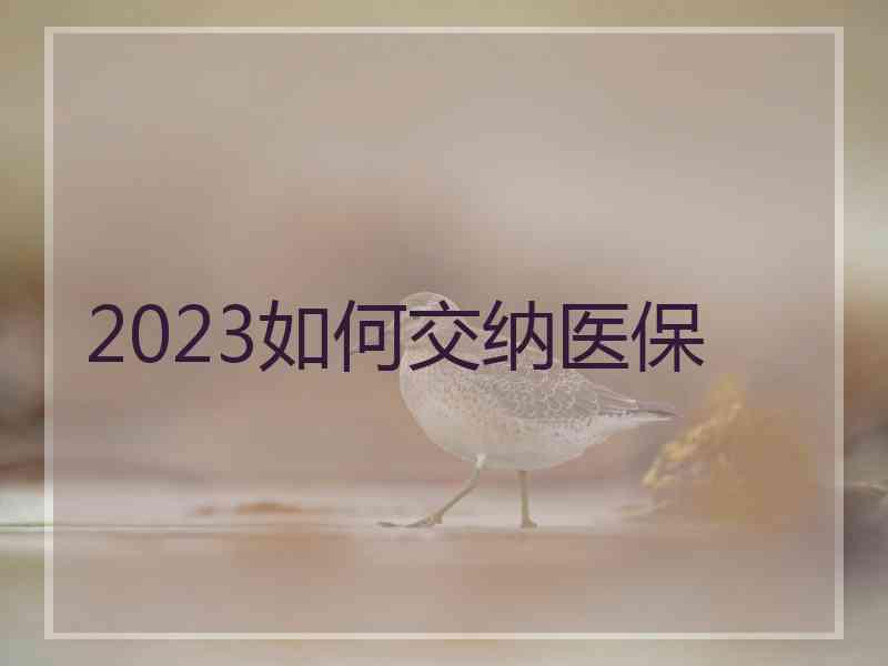 2023如何交纳医保