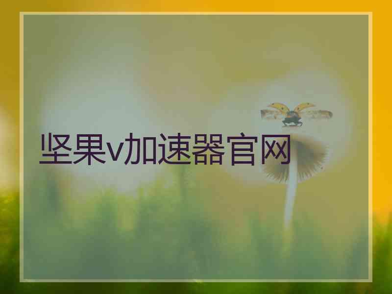 坚果v加速器官网