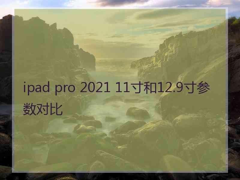 ipad pro 2021 11寸和12.9寸参数对比