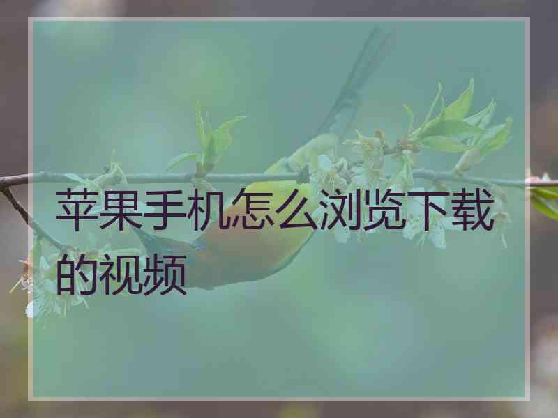 苹果手机怎么浏览下载的视频