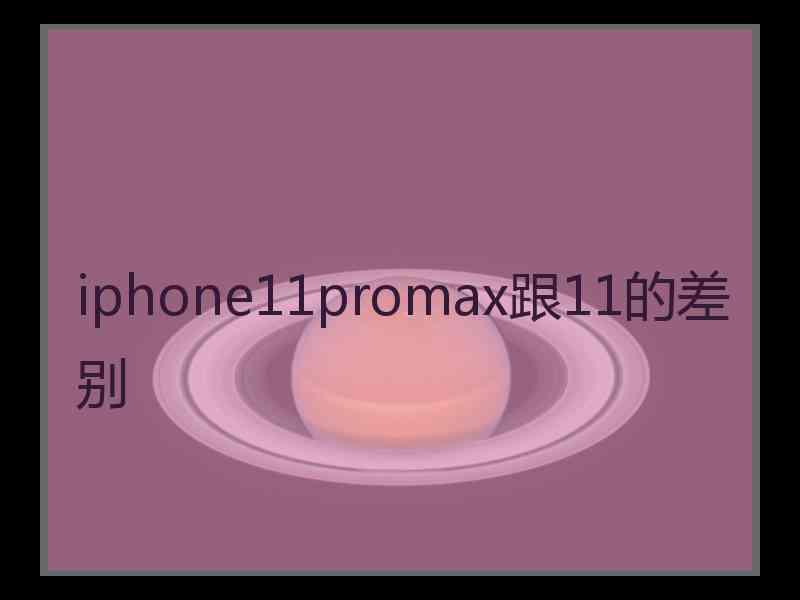 iphone11promax跟11的差别