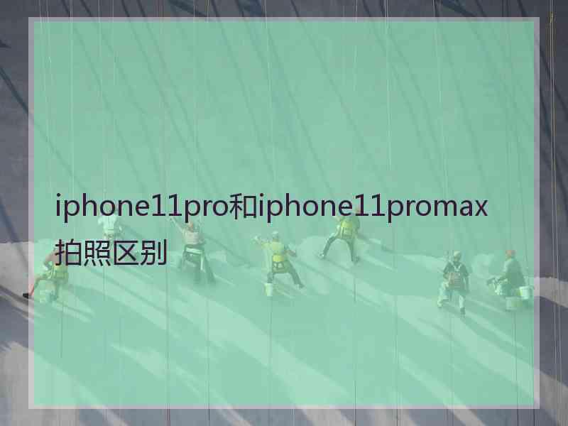 iphone11pro和iphone11promax拍照区别