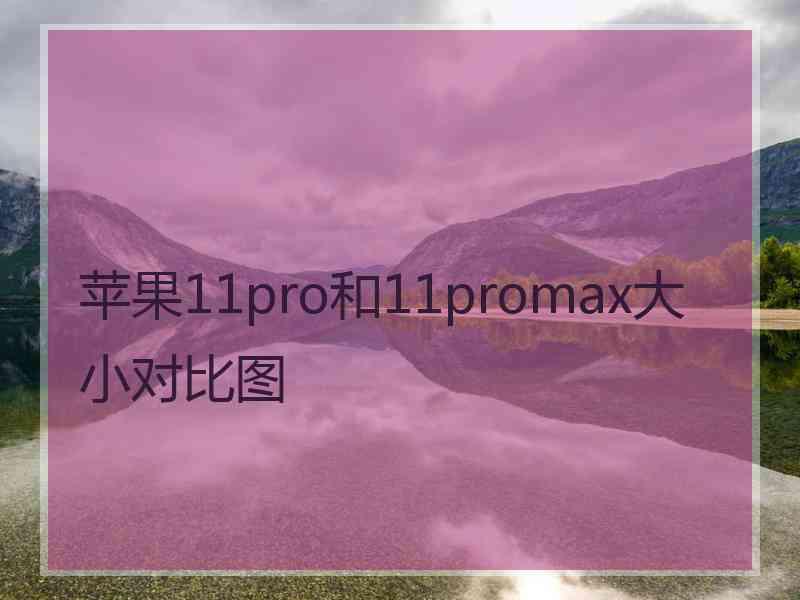 苹果11pro和11promax大小对比图