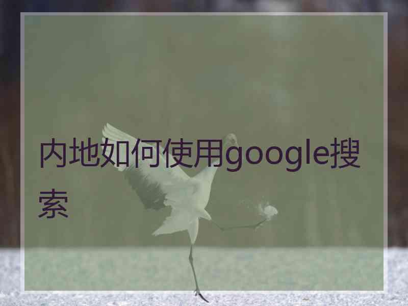 内地如何使用google搜索