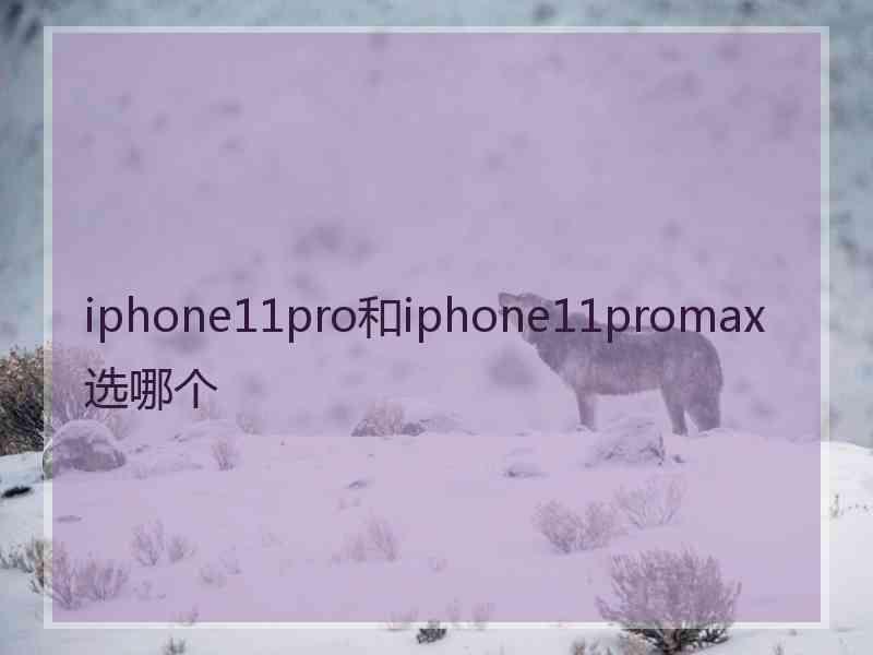 iphone11pro和iphone11promax选哪个