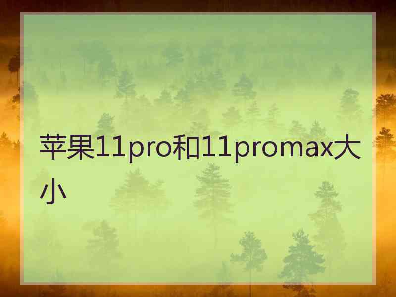 苹果11pro和11promax大小