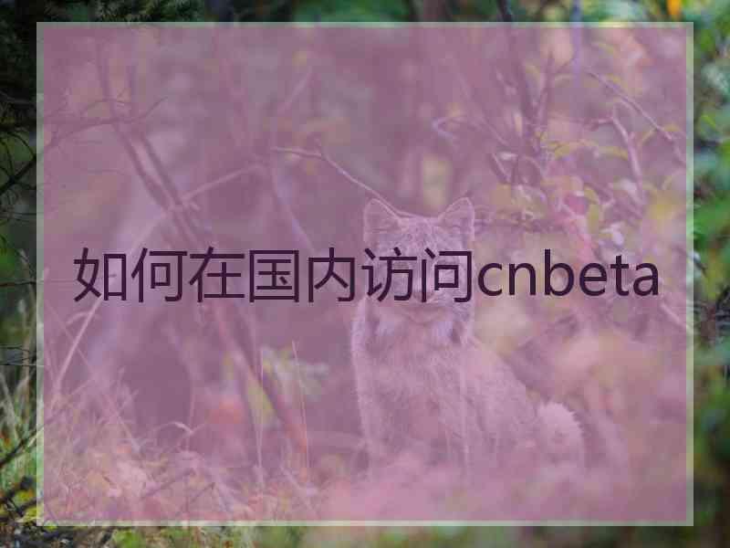 如何在国内访问cnbeta