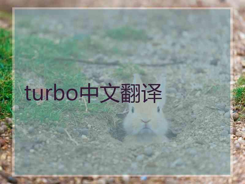 turbo中文翻译