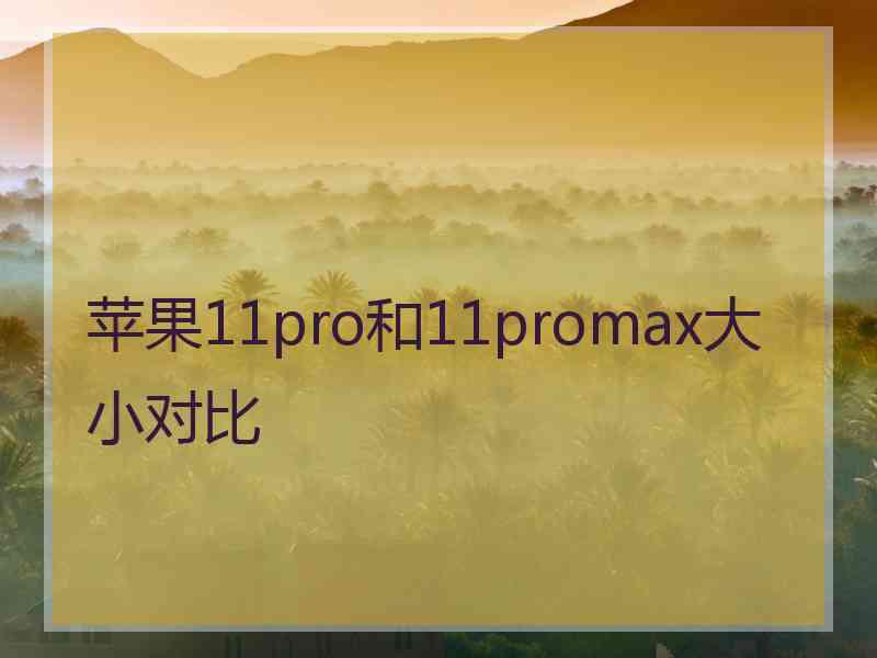 苹果11pro和11promax大小对比