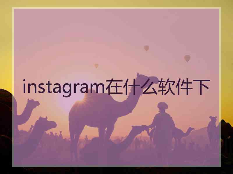 instagram在什么软件下