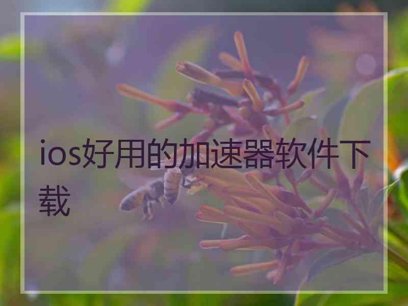 ios好用的加速器软件下载