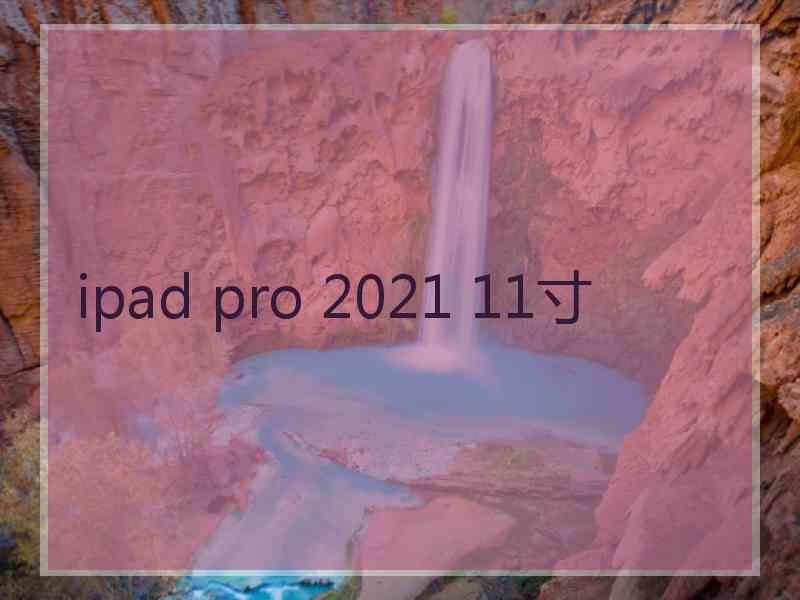 ipad pro 2021 11寸