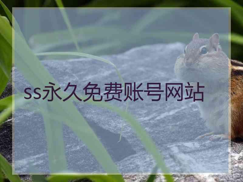 ss永久免费账号网站