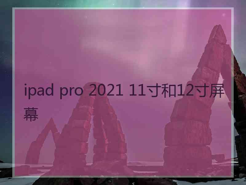 ipad pro 2021 11寸和12寸屏幕