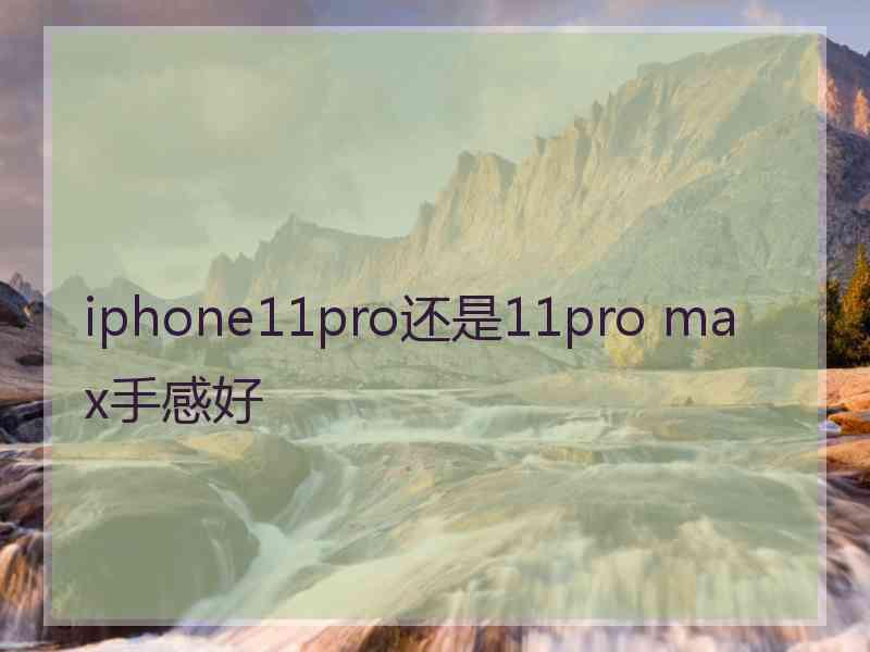 iphone11pro还是11pro max手感好