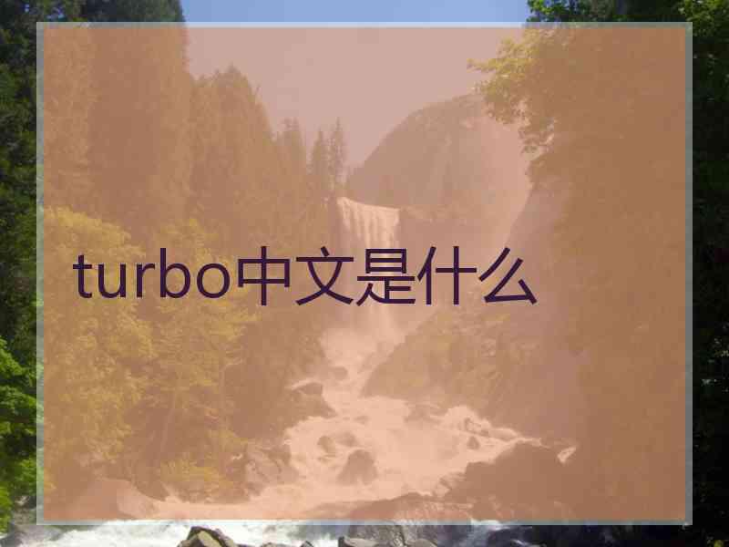 turbo中文是什么