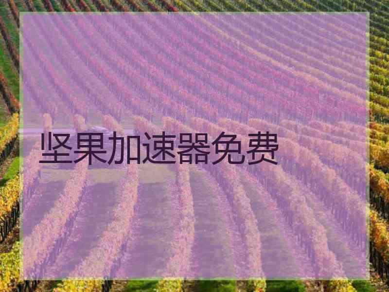 坚果加速器免费