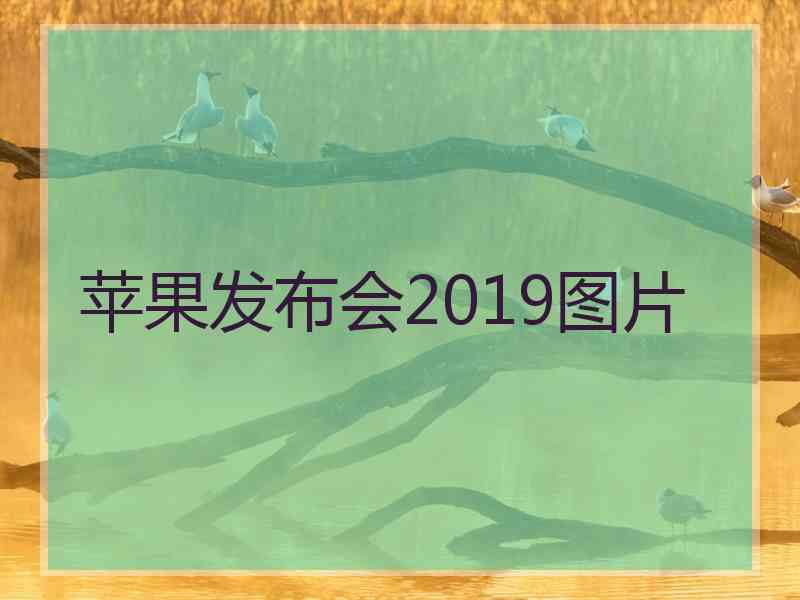 苹果发布会2019图片