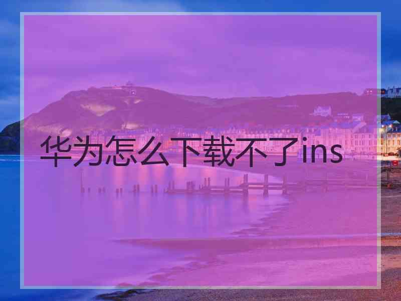 华为怎么下载不了ins