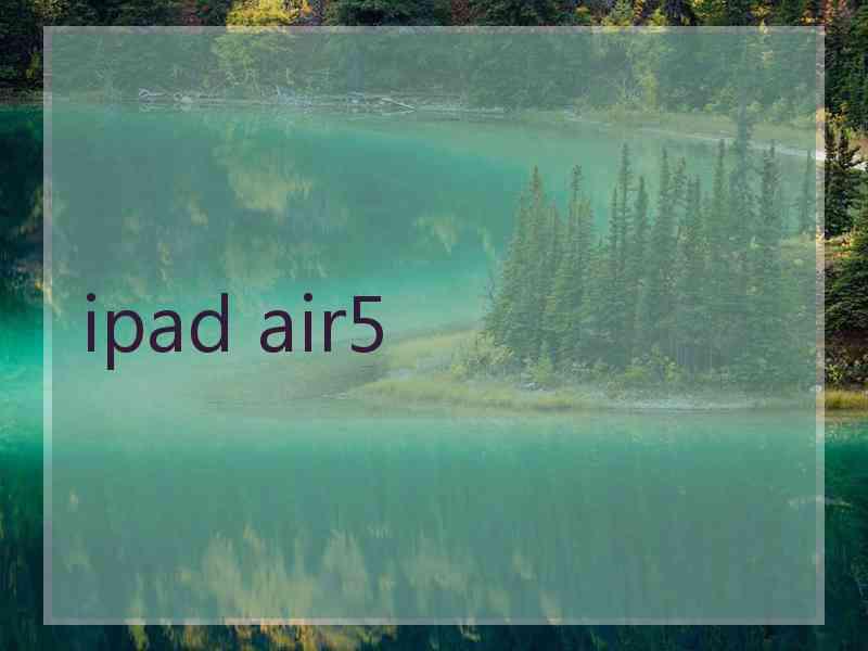 ipad air5