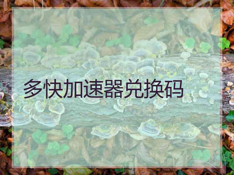 多快加速器兑换码