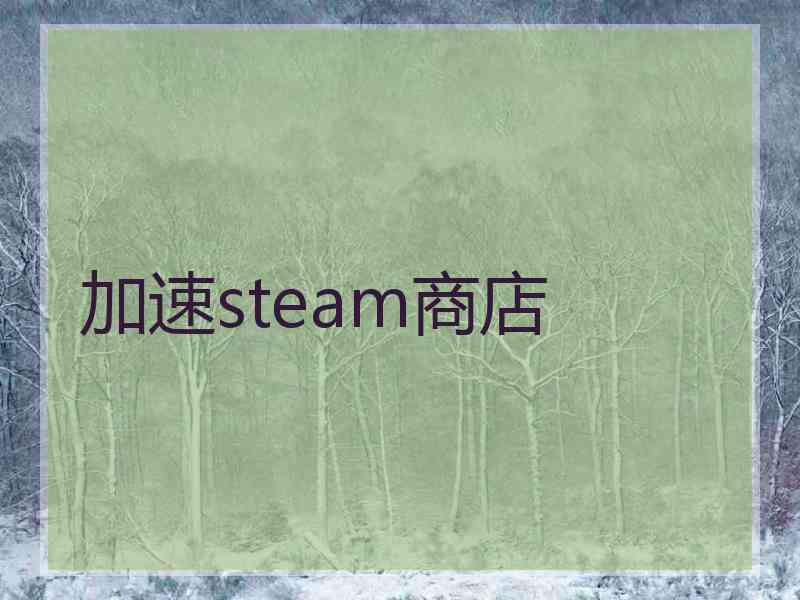 加速steam商店