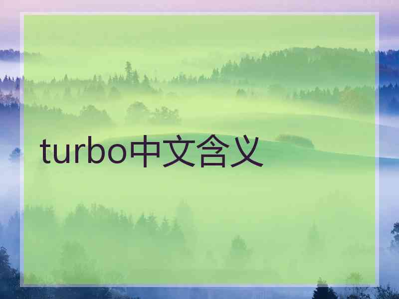 turbo中文含义