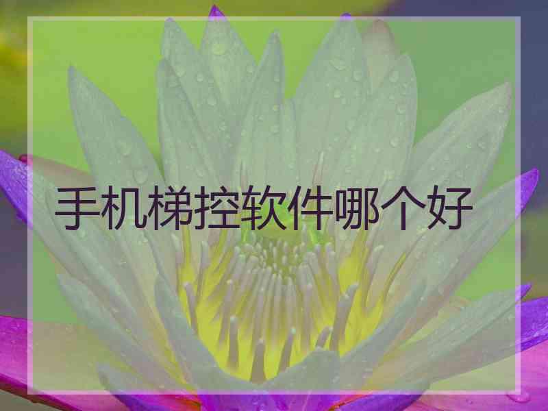 手机梯控软件哪个好