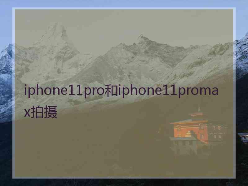 iphone11pro和iphone11promax拍摄