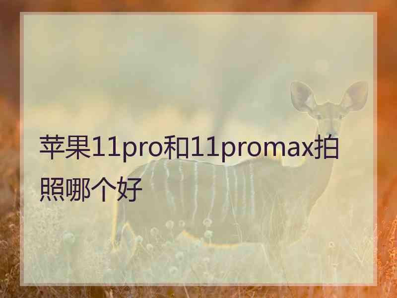 苹果11pro和11promax拍照哪个好