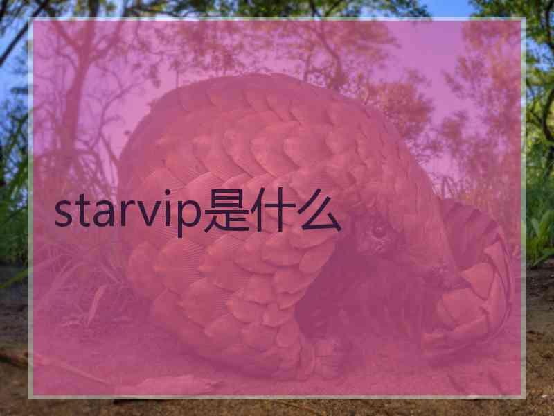 starvip是什么