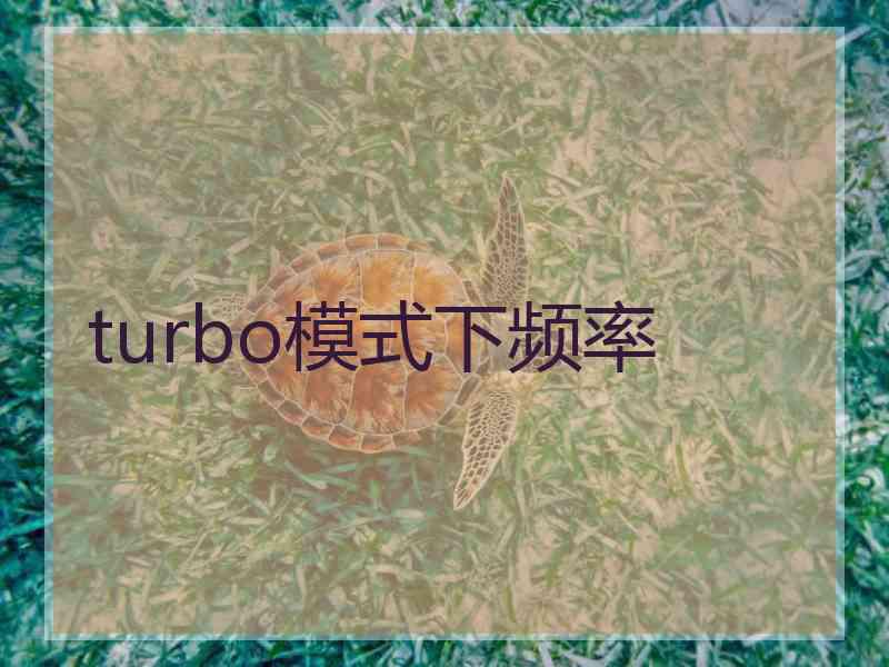 turbo模式下频率