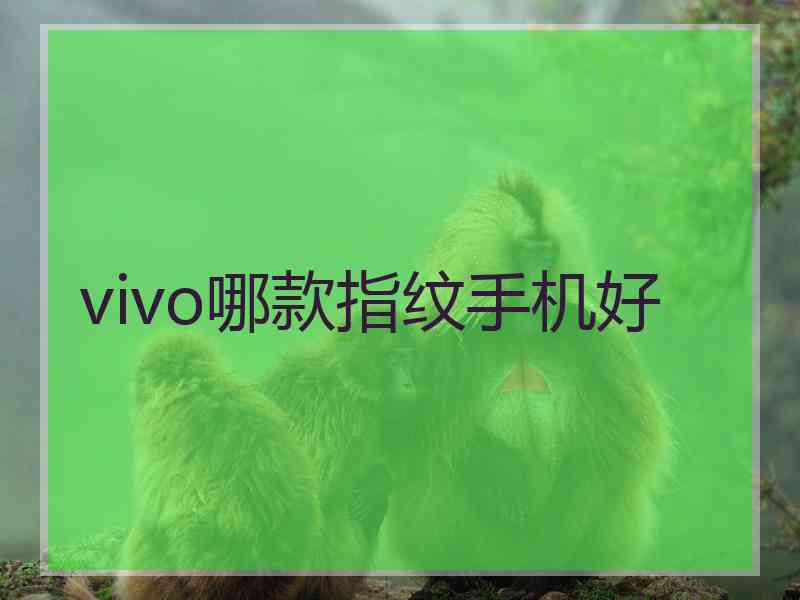 vivo哪款指纹手机好