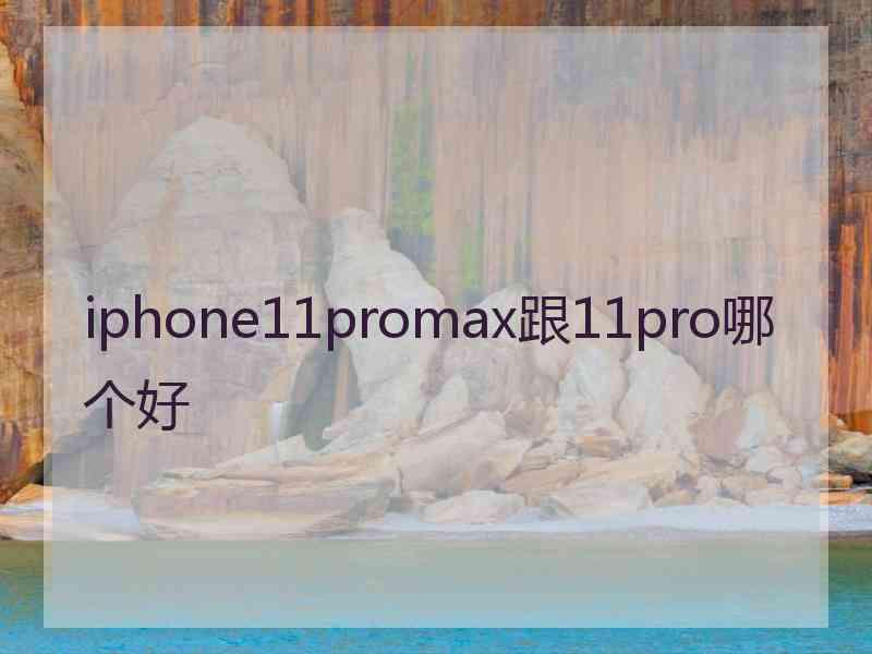 iphone11promax跟11pro哪个好