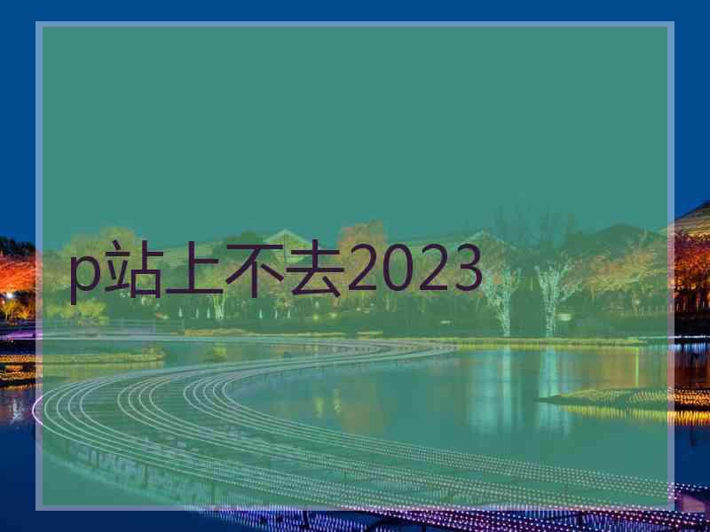 p站上不去2023