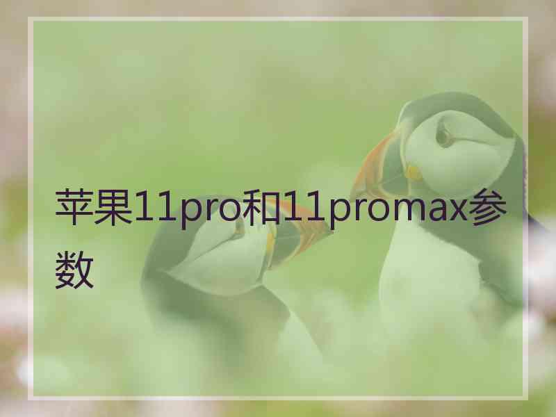 苹果11pro和11promax参数