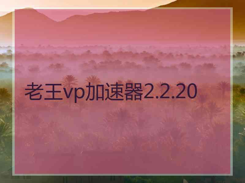 老王vp加速器2.2.20